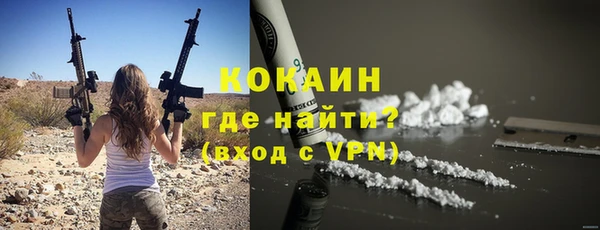 бошки Бронницы
