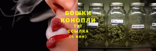 гидропоника Бородино