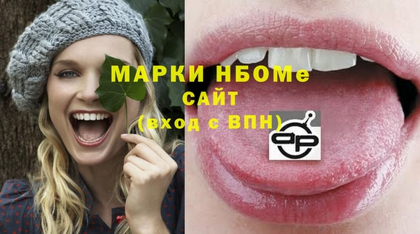 бошки Бронницы