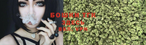 гидропоника Бородино