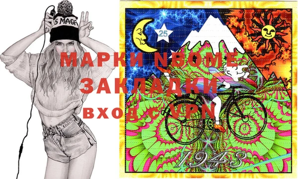 бошки Бронницы