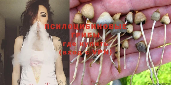 бошки Бронницы